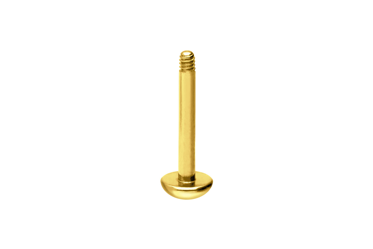 Titan Labret Piercing ohne Kugel ABGERUNDETE PLATTE